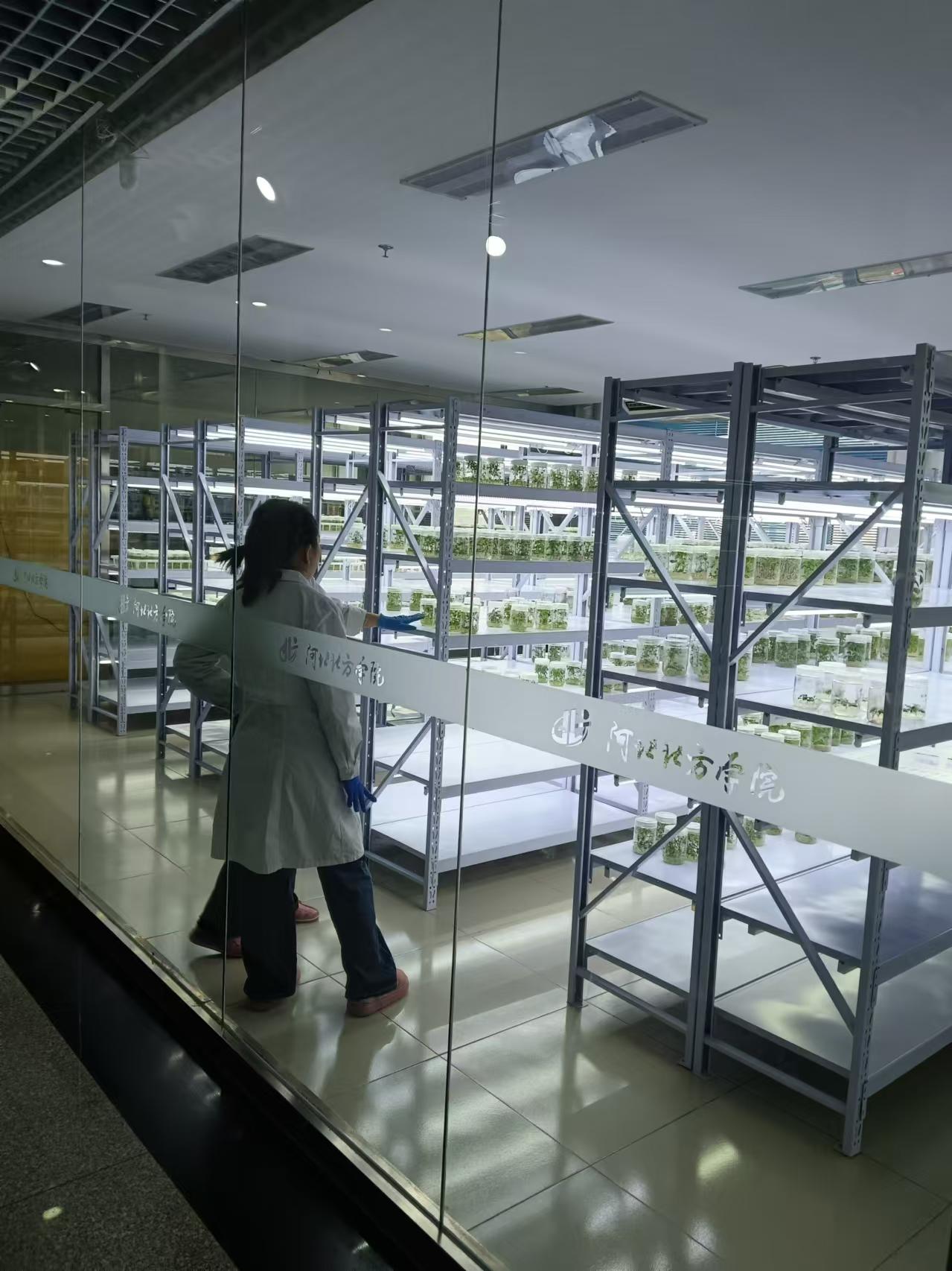 江苏植物组培室设计的基本布局有哪些？